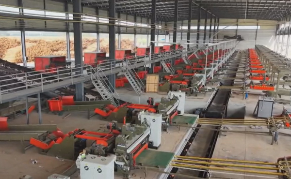 港北区：年产20万立方米高端家具生态板生产线一期项目即将