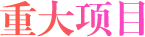 重大项目